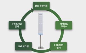 바이플라