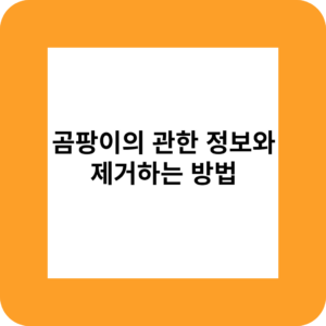 제목을 입력해주세요 001 3