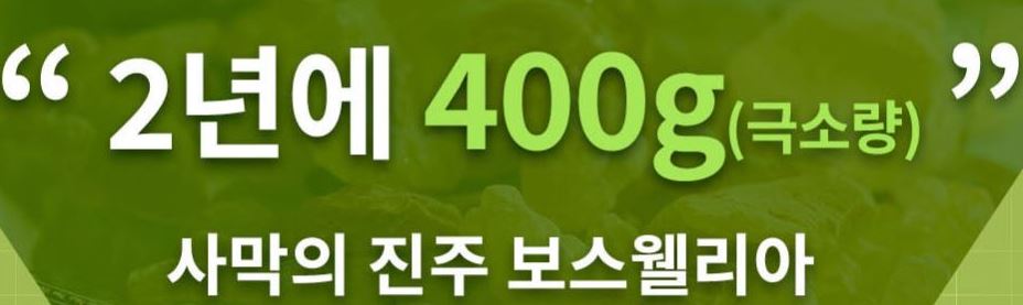 캡처 3