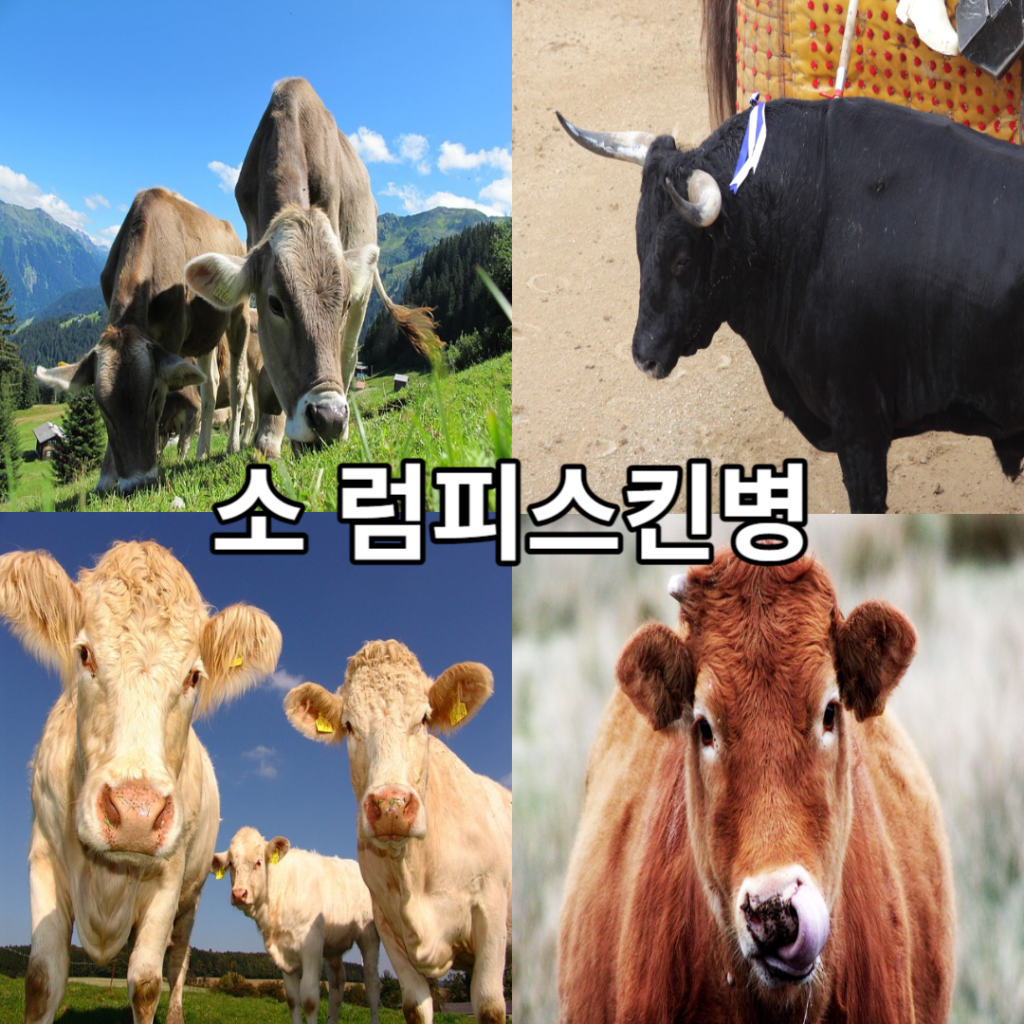 제목을 입력해주세요 001 2023 10 25T202942.989