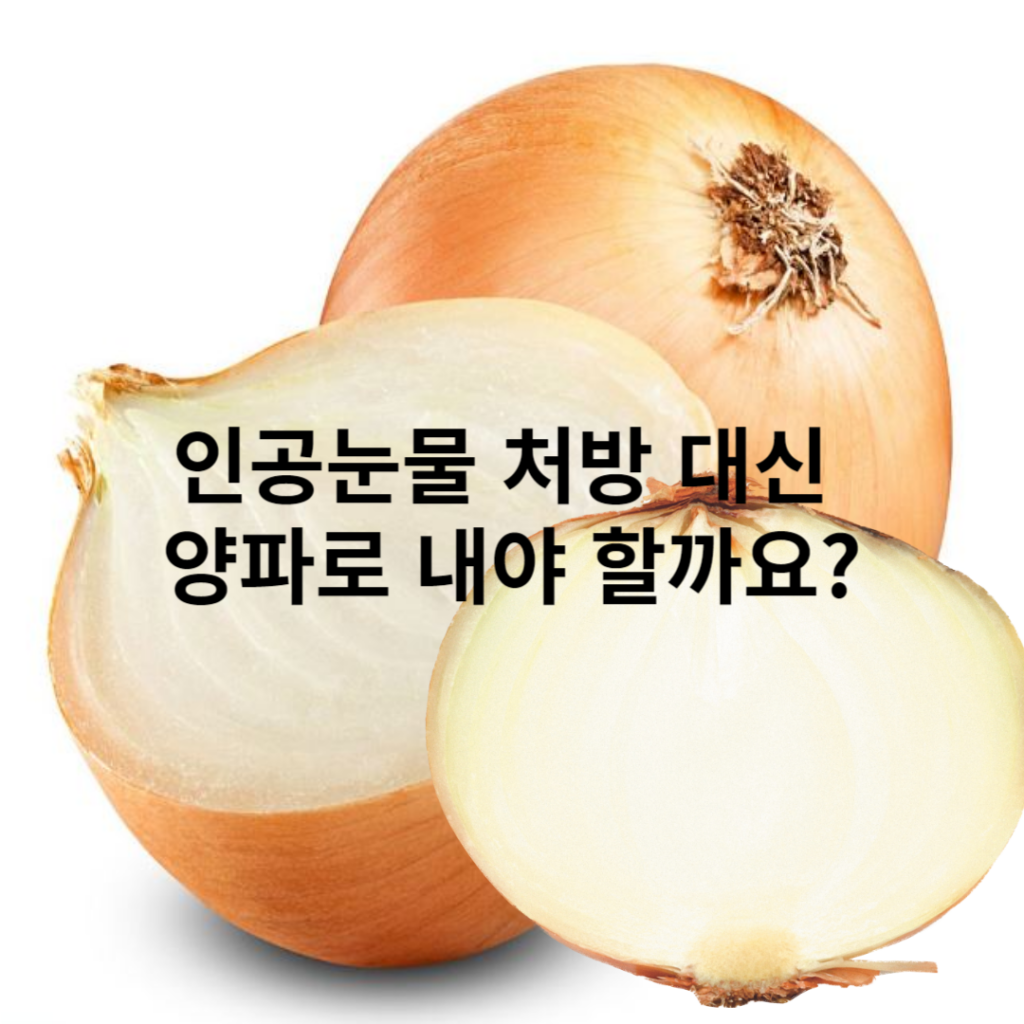 제목을 입력해주세요 001 79